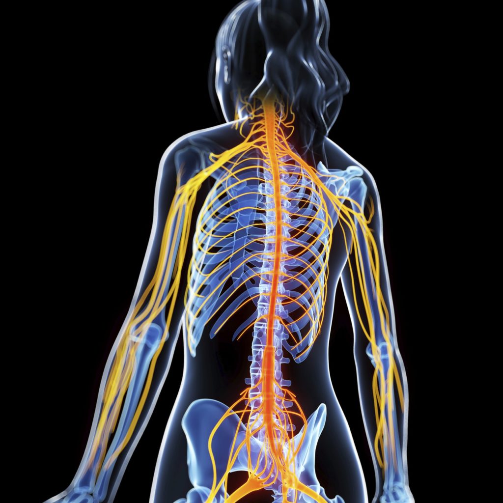 Techniques neurodynamiques